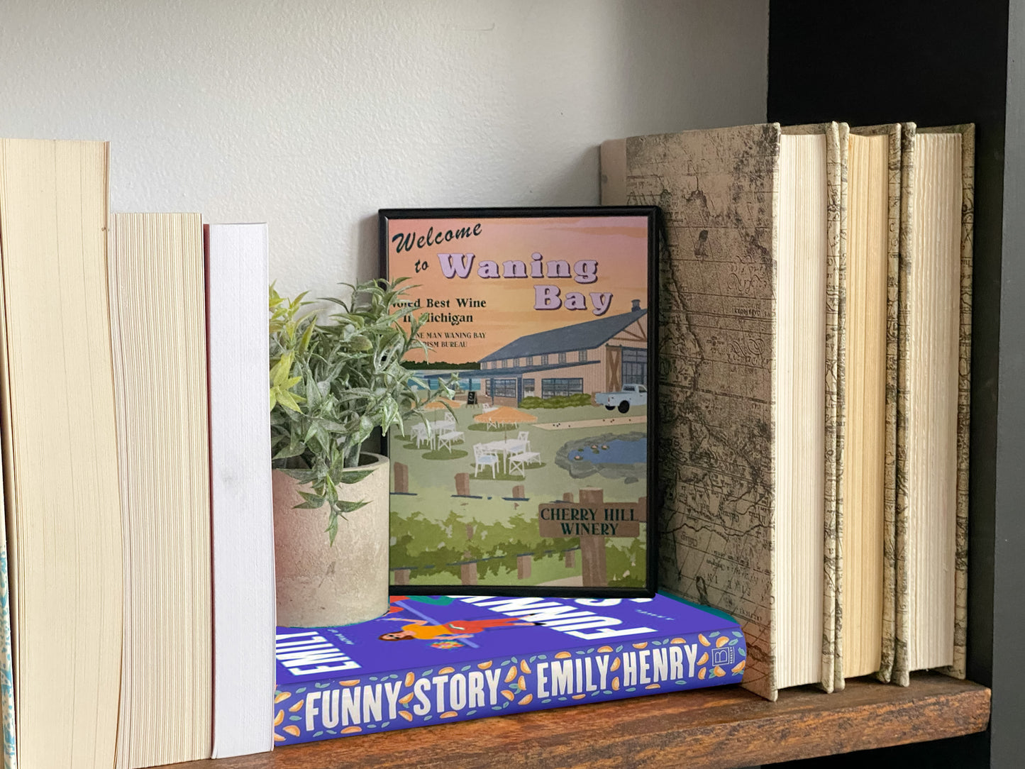 Storybook Towns - Shelf Editions
